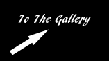To Gallery
